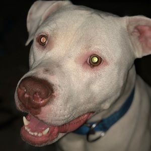 Meet your Posher, Angie